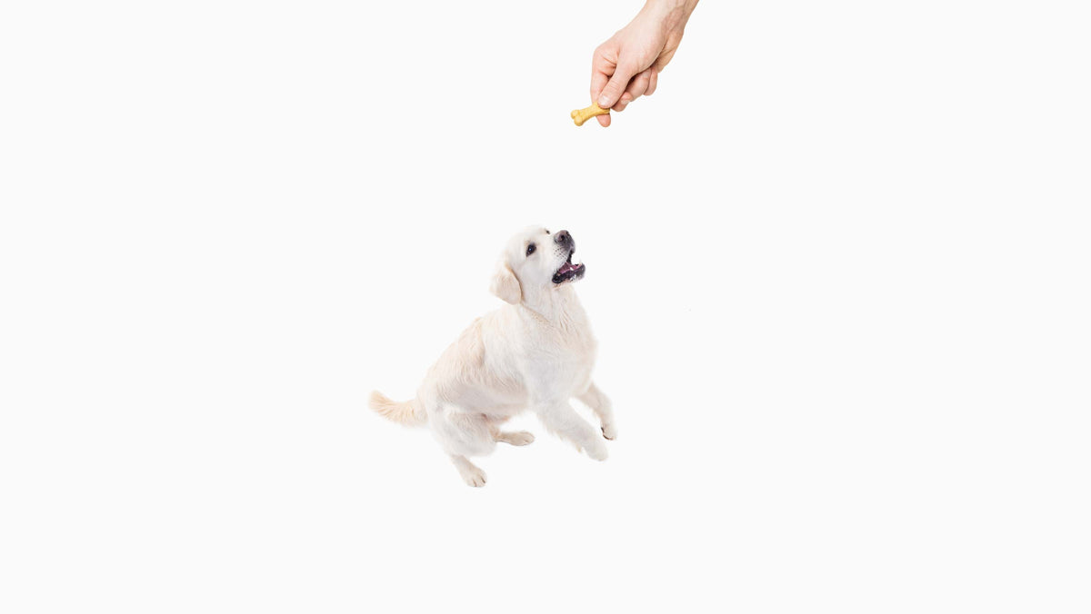 Treats